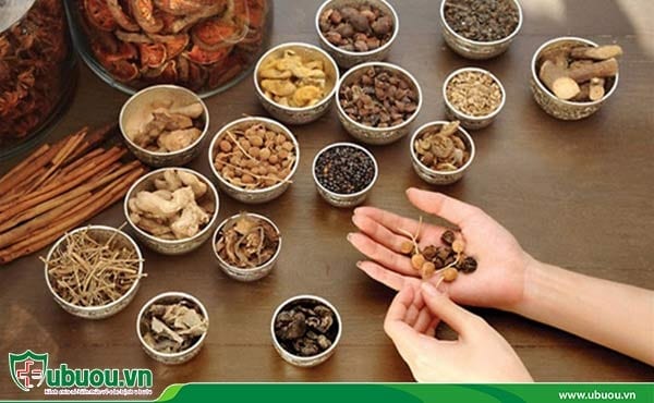 Chữa bệnh ung thư gan bằng thuốc nam có được không? nhận được nhiều sự quan tâm của bệnh nhân và người nhà Chữa bệnh ung thư gan bằng thuốc nam có được không?
