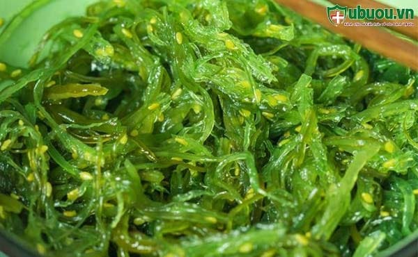 Hải tảo có tác dụng chữa bệnh ung thư vòm họng