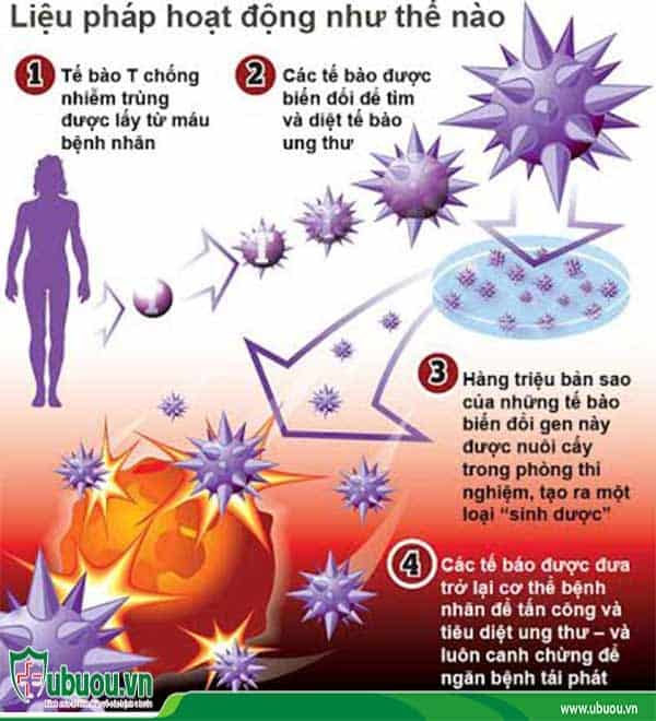Sử dụng thuốc giúp hệ thống miễn dịch tìm và tiêu diệt các tế bào ung thư - Cách điều trị ung thư gan hữu hiệu Liệu pháp miễn dịch - Cách điều trị ung thư gan hữu hiệu