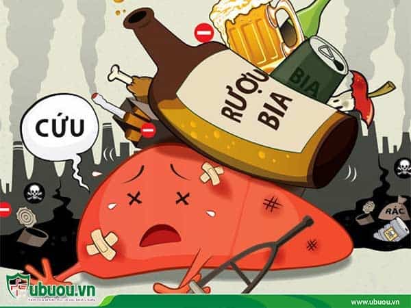 Nghiện rượu bia dẫn tới gan bị yếu, suy giảm chức năng, gây ung thư gan