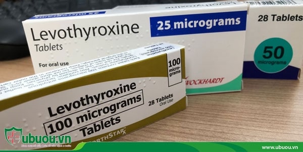 Thuốc bổ sung hormone tuyến giáp Levothyroxine