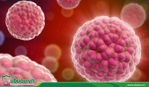 Nhiễm virus EBV hoặc HPV - Nguyên nhân ung thư vòm họng