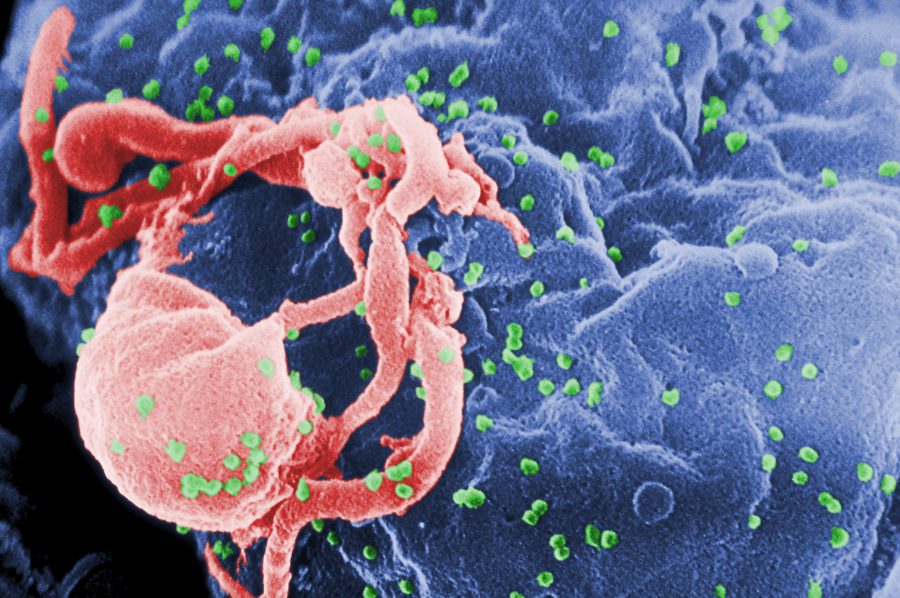 Các loại virus gây bệnh ung thư cổ tử cung phổ biến